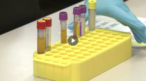 Biobank Graz Video