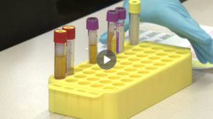 Biobank Graz Video