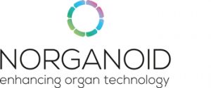 norganoid_logo