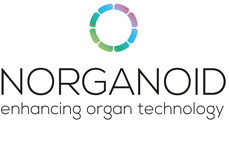 norganoid_logo_4