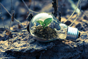 junge Gründer:innen mit innovativen Ideen