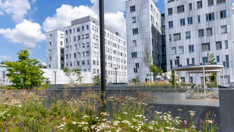 Campus Med Uni Graz